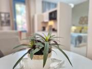 Alquiler 1 Dormitorio Apartamentos Málaga Málaga DS95913842