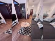Alquiler 1 Dormitorio Apartamentos Seville Seville...