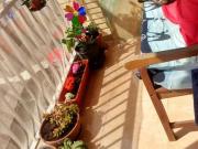 Alquiler 1 Dormitorio Shared Living/Roommate Málaga...