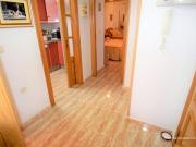 Alquiler 2 Dormitorio Apartamentos Guardamar Del Segura...