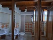 Alquiler 2 Dormitorio Apartamentos Malaga Malaga DS85840119