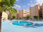 Alquiler 3 Dormitorio Apartamentos Torrevieja Alicante...