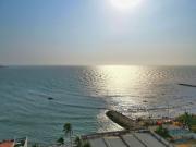 Alquiler Apartamento Amoblado Frente Al Mar Para 7...