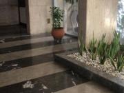 ALQUILER APARTAMENTO EN ALTAMIRA M.L