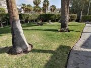 Alquiler Apartamentos Las_palmas_de_gran_canaria...