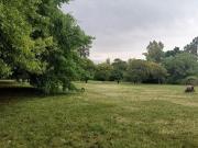 Alquiler Casa 4 dormitorios 37 años, 1000m2, Chubut 400,...