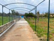 Alquiler. Chalet unifamiliar en solar de 5.650m2 aprox