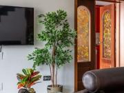 Alquiler de chalet pareado en Calle Camelia, 13 b