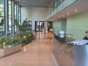 ALQUILER DE DPTO. 2 AMB. Balcon PTO MADERO