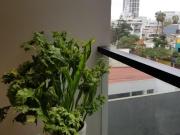 ALQUILER DE DPTO DE ESTRENO AMOBLADO Y EQUIPADO EN SAN...