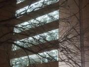 Alquiler de espectacular Departamento 2 ambientes en La...