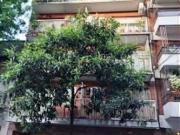 Alquiler de espectacular Departamento 3 ambientes en...