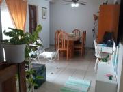 Alquiler de espectacular Departamento 3 ambientes en La...