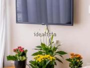 Alquiler de estudio en Calle Don Juan de Austria s/n