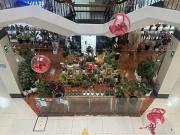 ALQUILER DE LOCAL COMERCIAL DE 70 M2 EN CENTRO COMERCIAL...