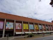 ALQUILER DE LOCAL COMERCIAL EN EL C.C PLAZA LAS AMERICAS