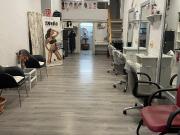 ALQUILER DE LOCAL COMERCIAL EN ZONA CENTRICA