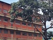 Alquiler de Local Comercial La Yaguara