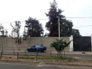 ALQUILER DE LOCAL PARA CENTRO DE TERAPIA FISICA, DE...