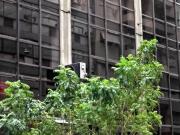 Alquiler de Oficinas 300 m2 listas para entrar!