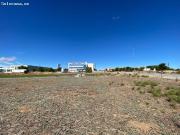 ALQUILER de Suelo Terciario Comercial en la ZONA EL OLIVAR