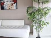 Alquiler de suite amoblada en Puerto Santa Ana