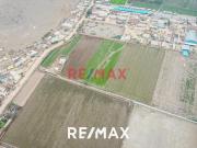 Alquiler De Terreno Agrícola: Ideal Para Inversores Y...