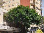 Alquiler departamento 2 ambientes Bernal Centro