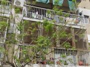 Alquiler Departamento Mono Ambiente con Patio