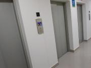 Alquiler Departamento Sta Catalina J.Prado, 2 Dorms, 2...