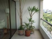 Alquiler dpto frente a golf