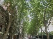 alquiler Edificio Comercial