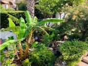 ALQUILER EN ESTEPONA ALQUILER EN ESTEPONA