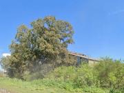 Alquiler Excelente Terreno industrial 22.288 mts Carlos...