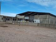 ALQUILER: GALPON 500M2 OFICINAS El Centeno Colonia Nueva...