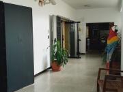 Alquiler Oficina 248 m2 aprox completa o por áreas La...