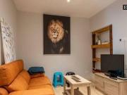 Alquiler piso aire acondicionado Madrid