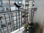 ALQUILER TEMPORARIO DEPARTAMENTO 2 AMBIENTES/ MAR DEL PLATA