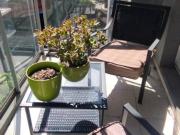 Alquiler Temp/Perm. Amoblado 1 dorm Externo Balcon Zona Rio