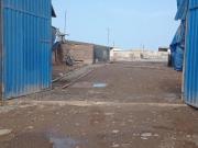 Alquiler Terreno Pesquero De 5 000 M2 En Callao