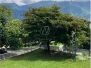 Alquiler/apartamento/Chulavista/vista/200M2/4H/3B/1HS/1BS/2P