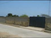 ALQUILER/VTA DE TERRENO EN TUMBES 021454