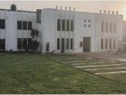 ALQUILO 2000 M2 LOCAL COMERCIAL ALMACEN OFICINA