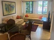 Alquilo apartamento 70m2 La Castellana 8305