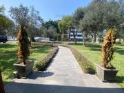 ALQUILO CASA EN EL OLIVAR DE SAN ISIDRO