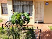 ALQUILO CASA ZONA SUR