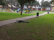 ALQUILO DEPARTAMENTO 1er PISO AT 230 M2 CON...