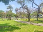 ALQUILO DEPARTAMENTO 3 DORMITORIOS PARQUE TRADICIONES...