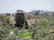 Alquilo departamento de lujo, 4 dorm, frente al Olivar