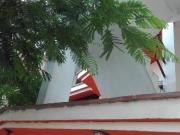 Alquilo económico departamento en Surco